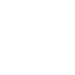 lungs