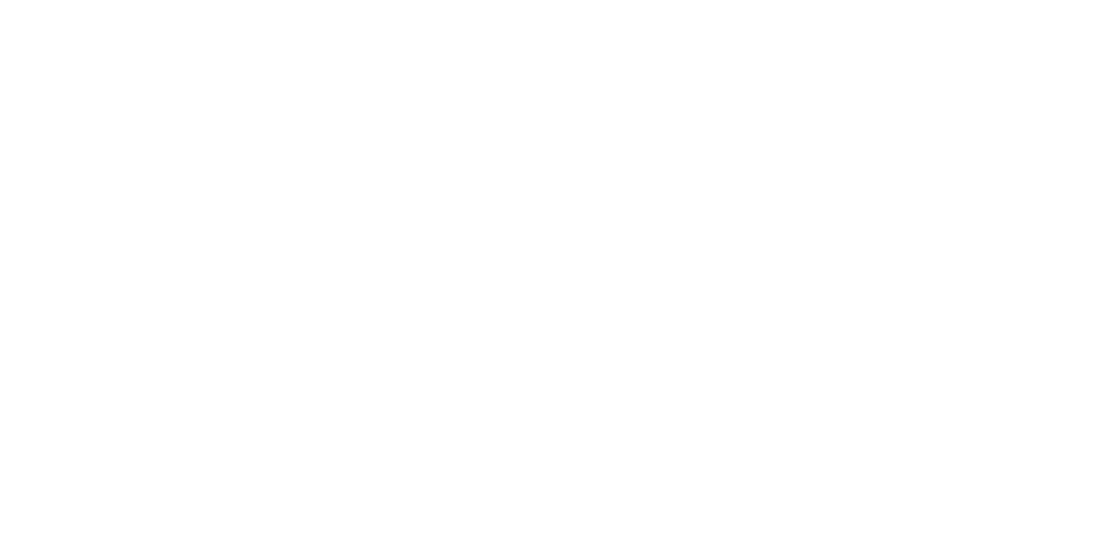 netopia payments logo simplu