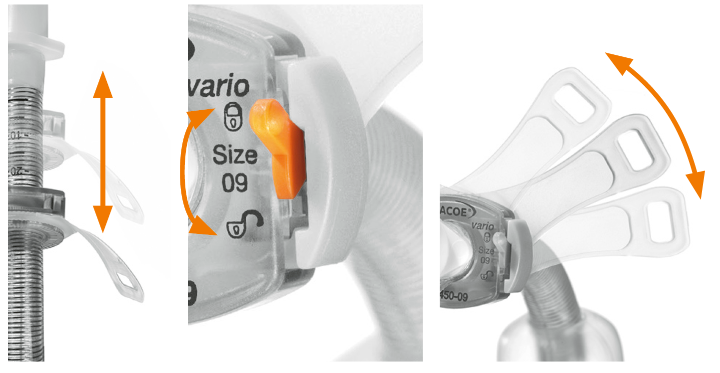 Caracteristici vario