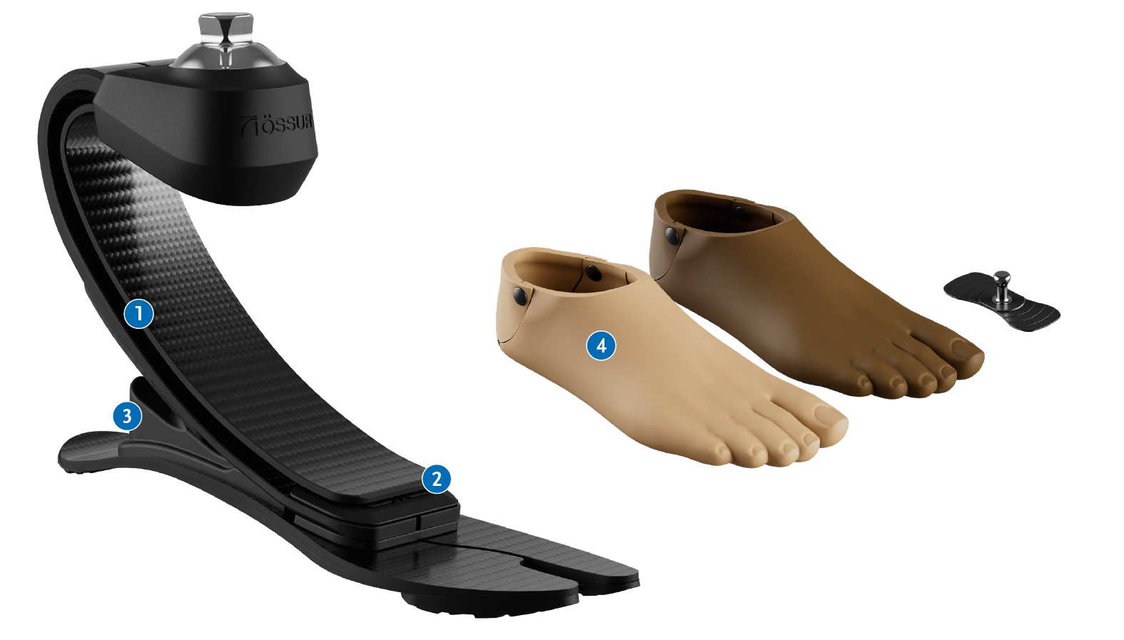 Pro-Flex® Terra-ilustratii