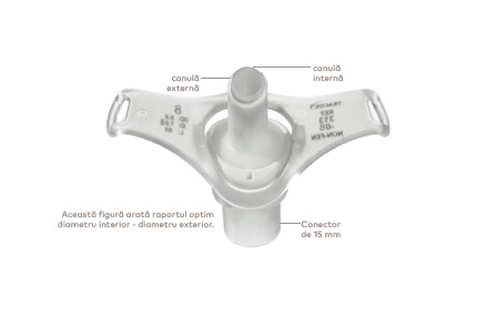 Twist caracteristici