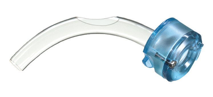 Valvă fonatorie integrată