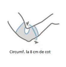 Suport pentru brat -luropas rekordsan picrtogram